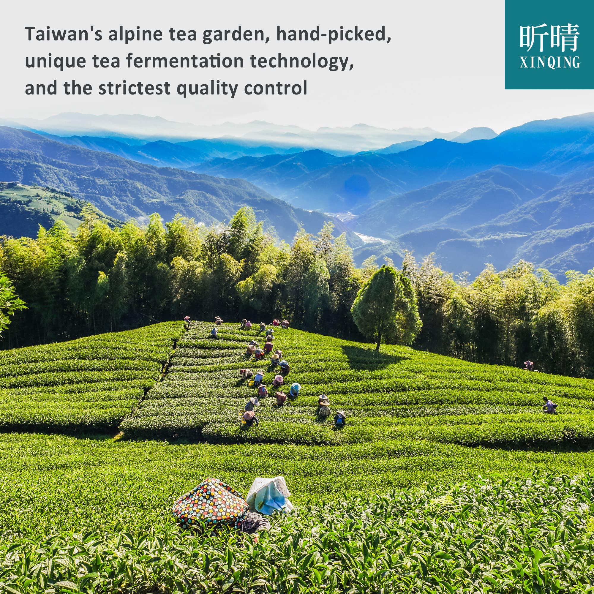 top-rated-green-tea-xinqing