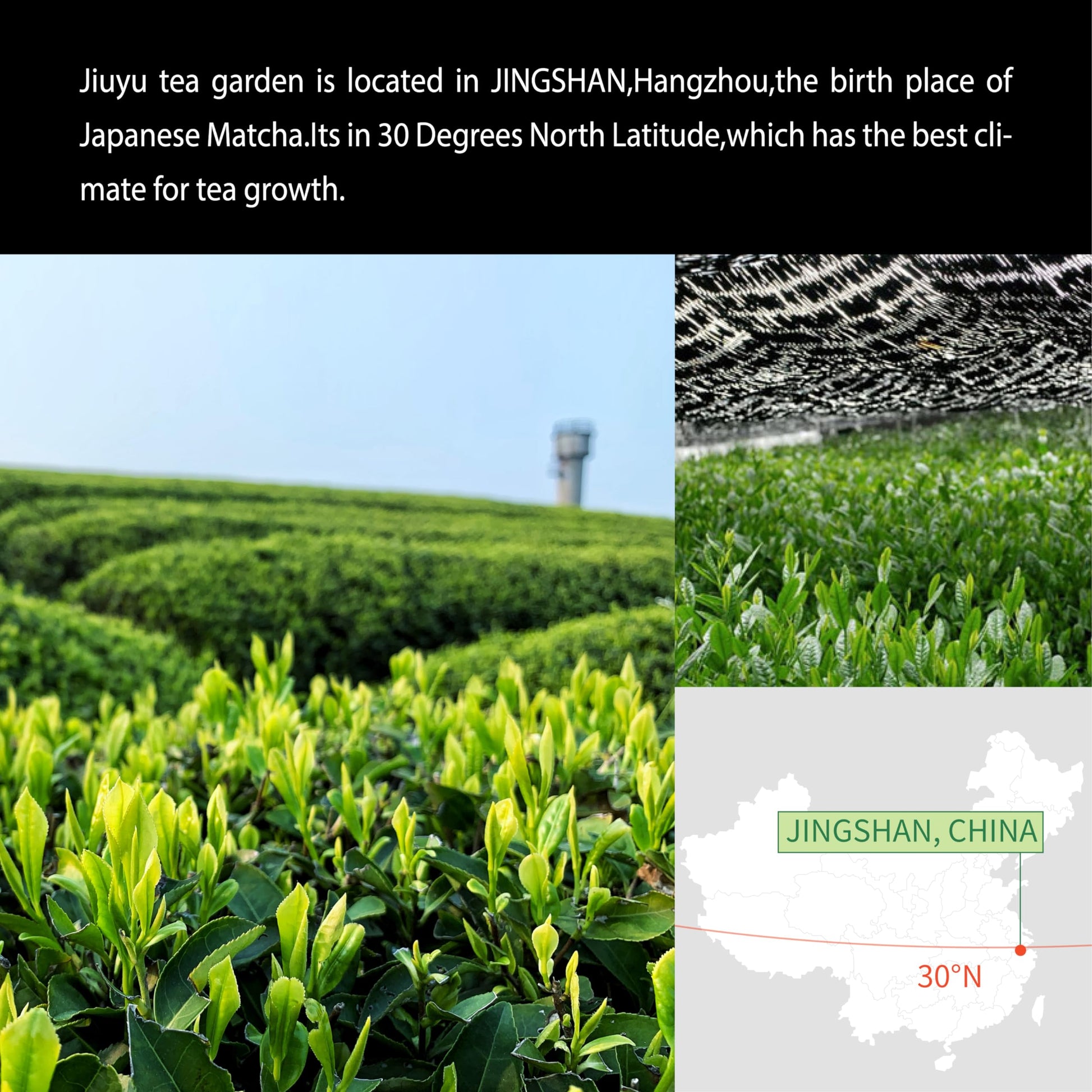 rich-full-bodied-latte-mix