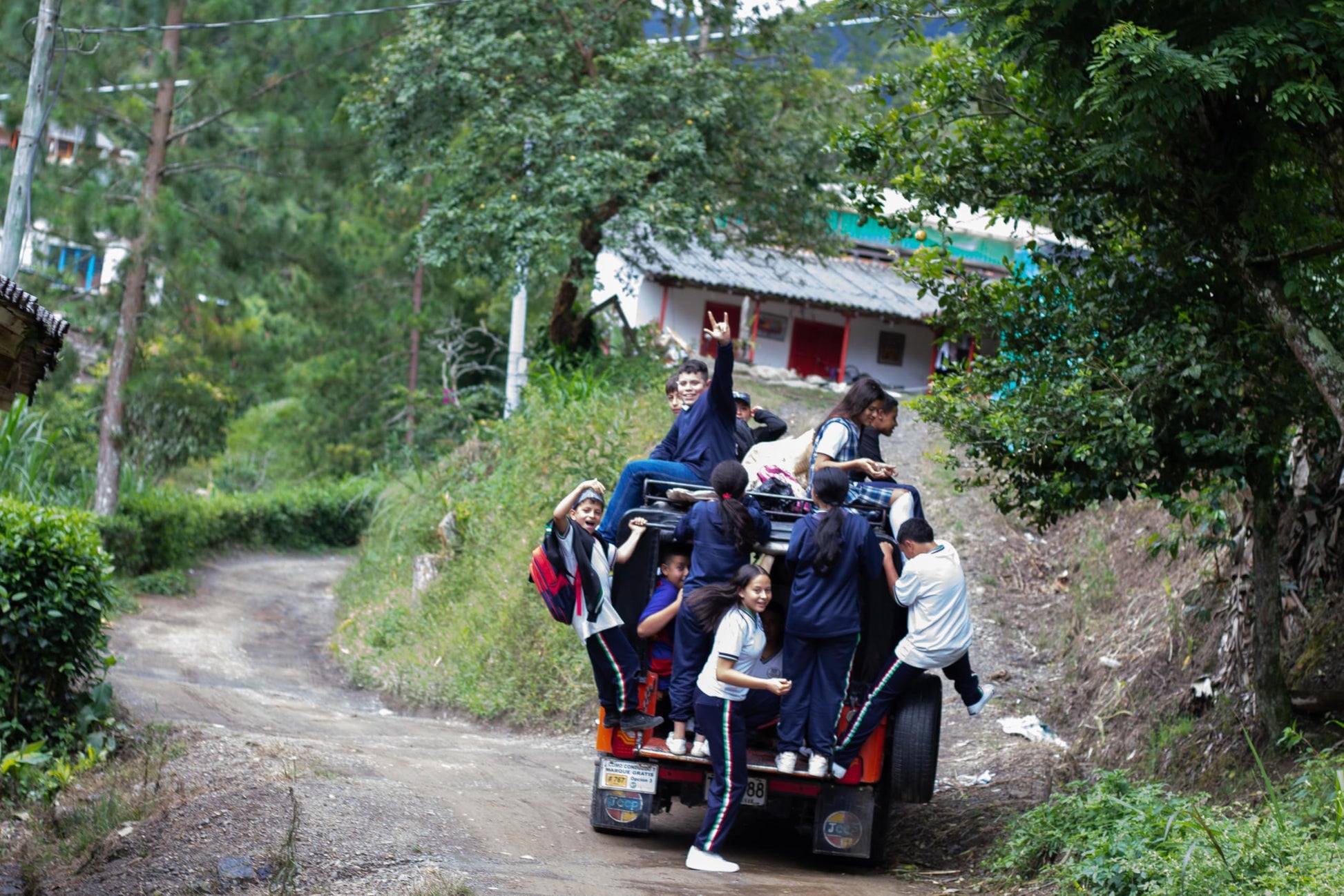 top-rated-whole-beans-madre-selva