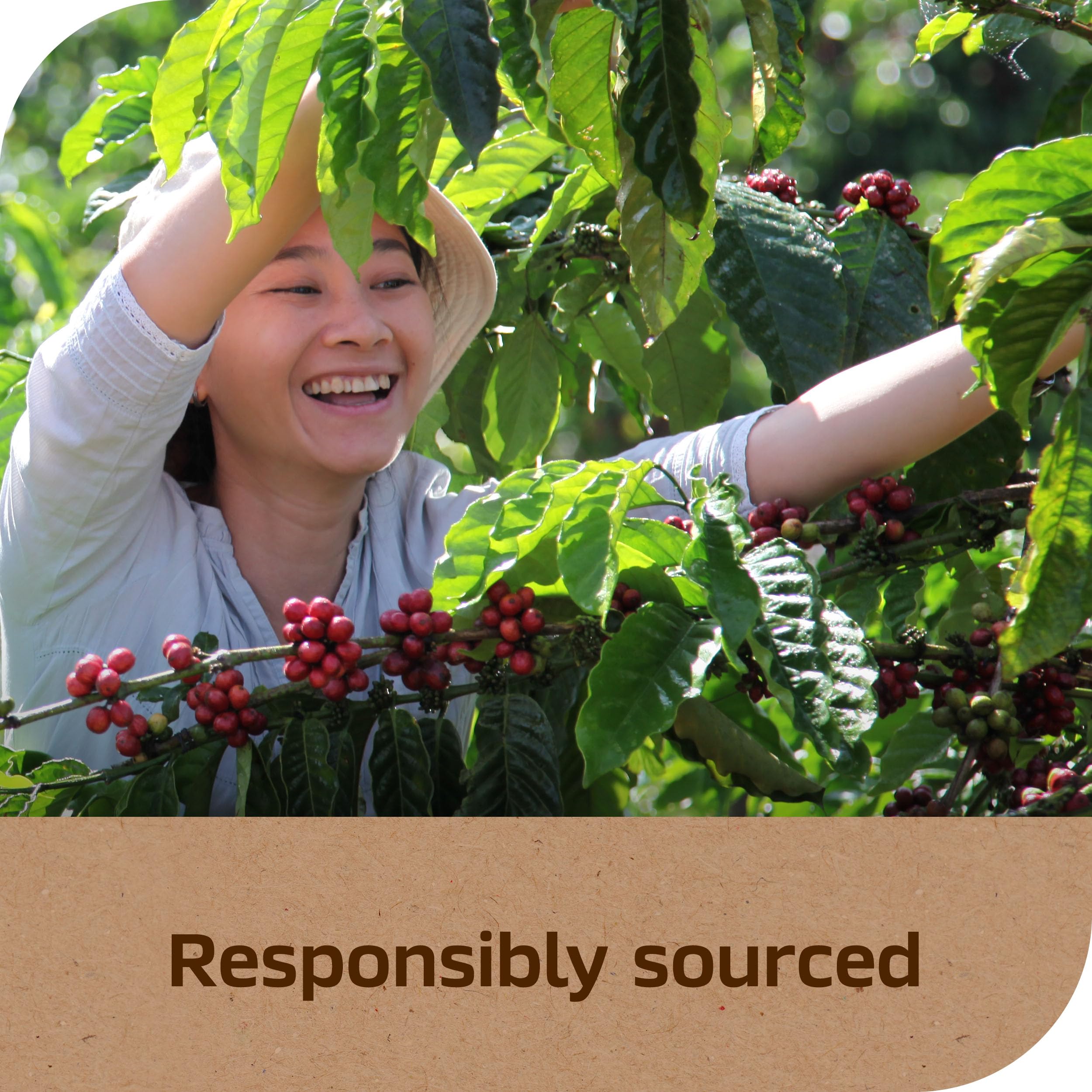 top-rated-instant-coffee-taster-s-choice