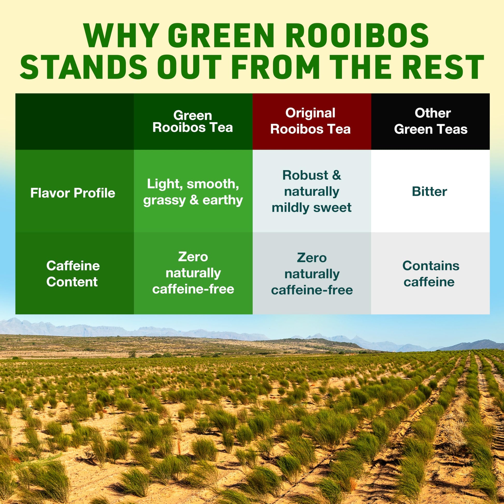 affordable-green-tea