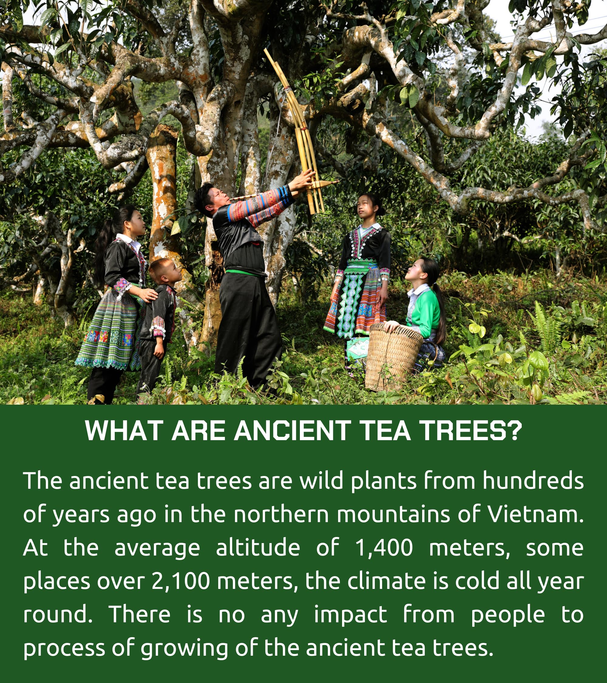 rich-full-bodied-cold-brew-coffee