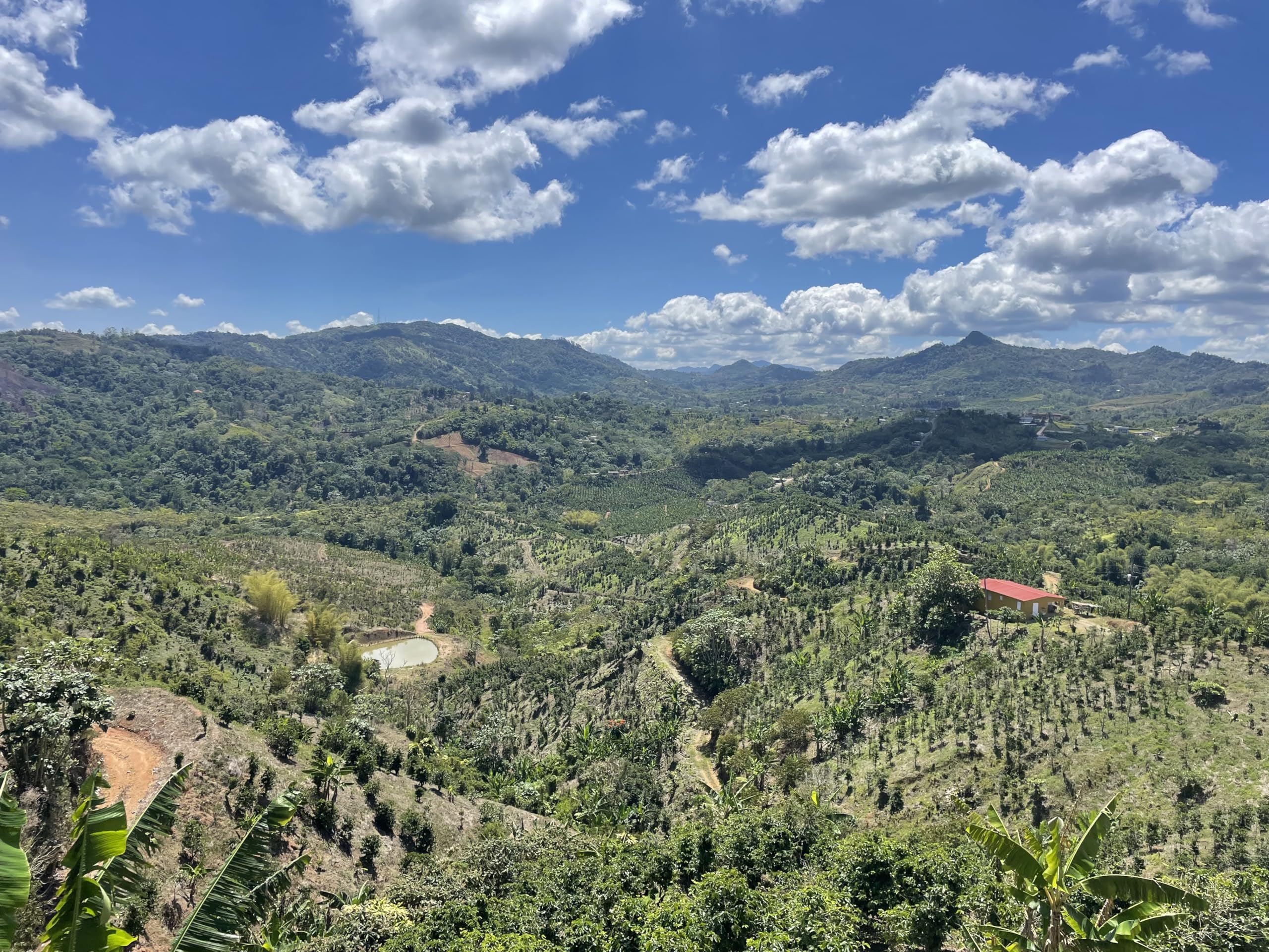 top-rated-ground-coffee-julian-coffee