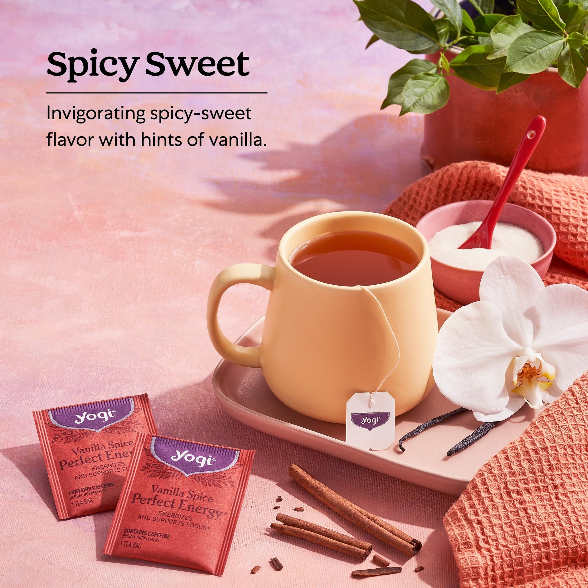 premium-black-tea-yogi