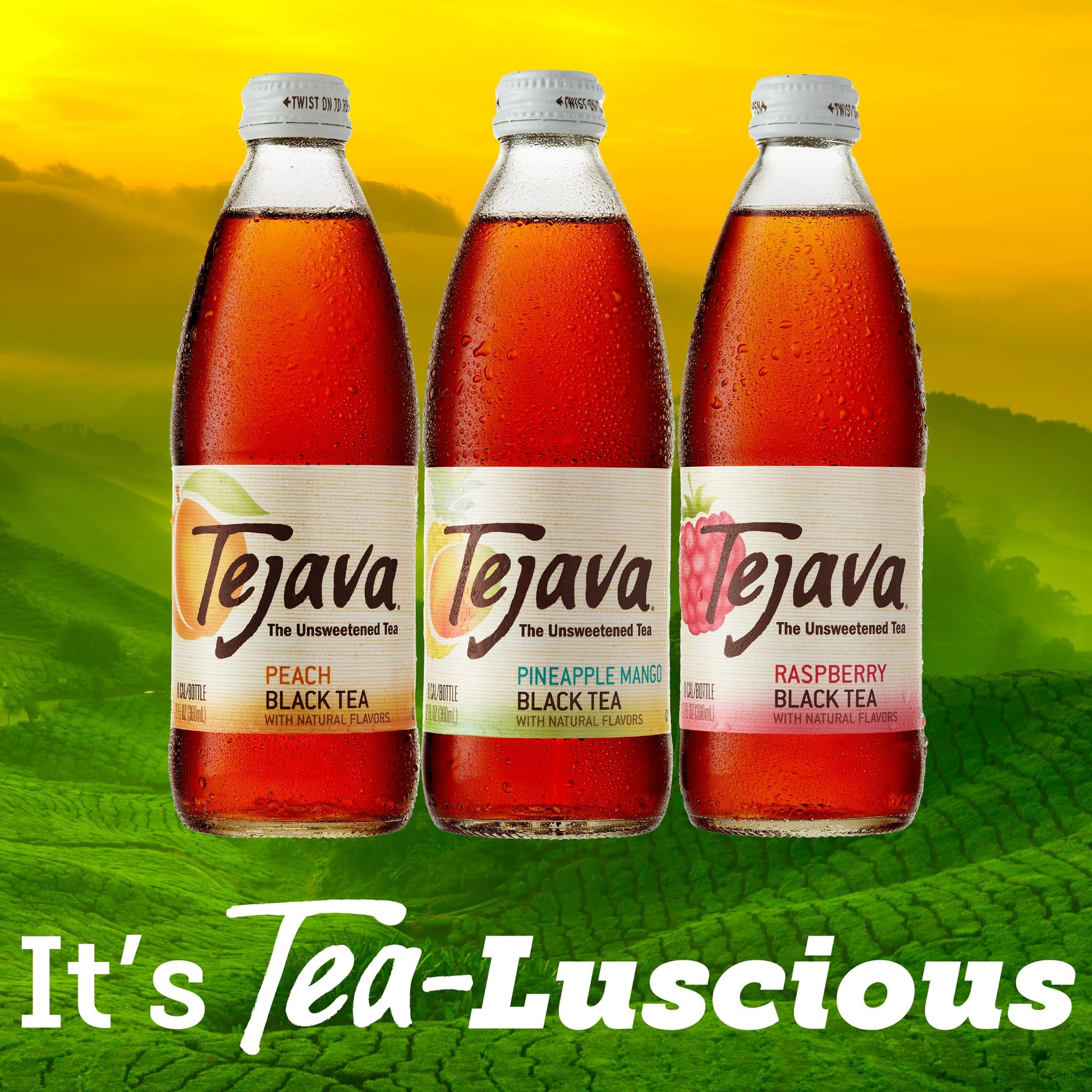 top-rated-ready-to-drink-coffee-tejava