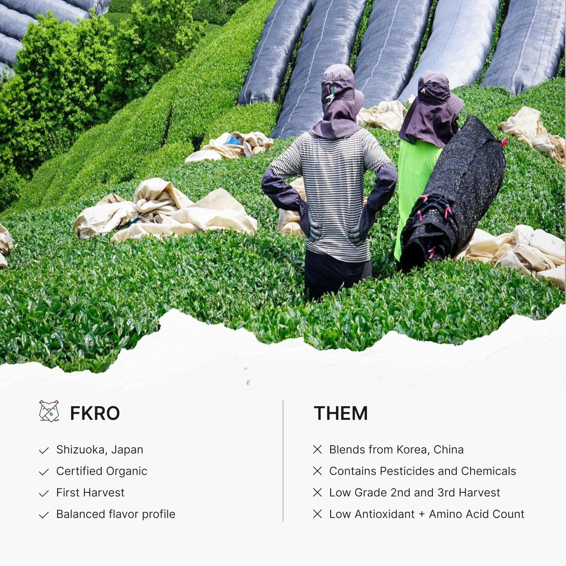 easy-to-brew-latte-mix