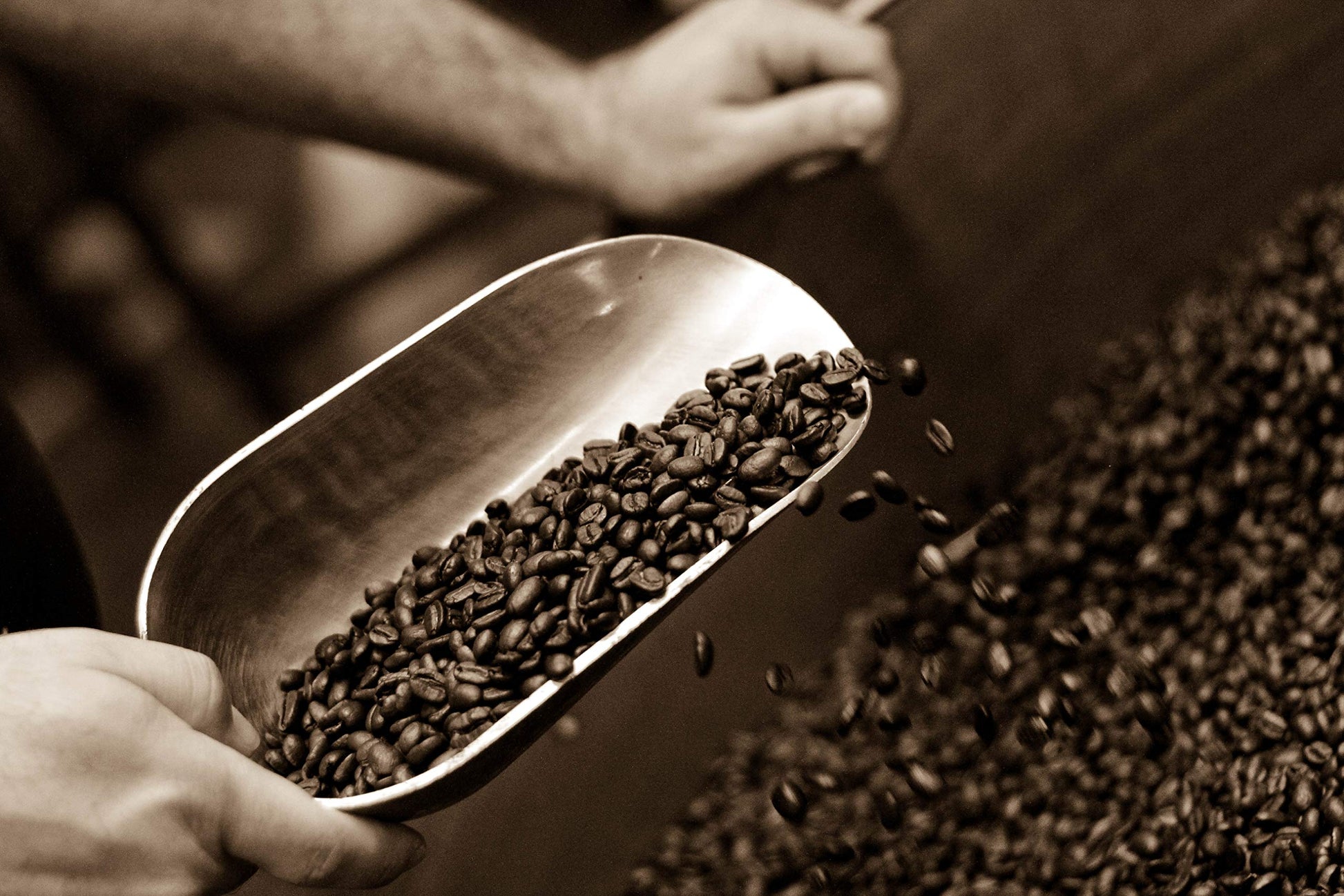 top-rated-whole-beans-caffe-d-arte