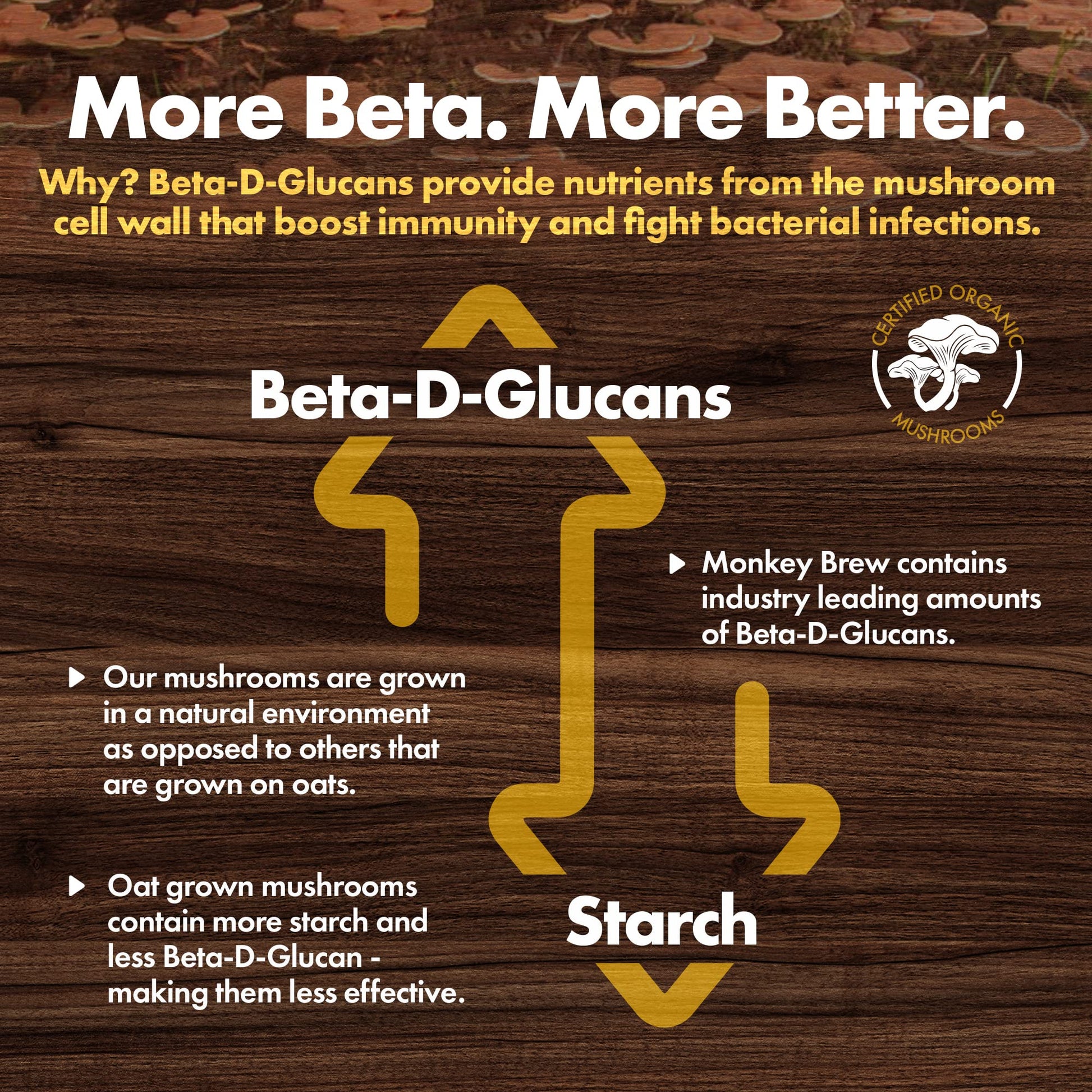 rich-full-bodied-mushroom-coffee