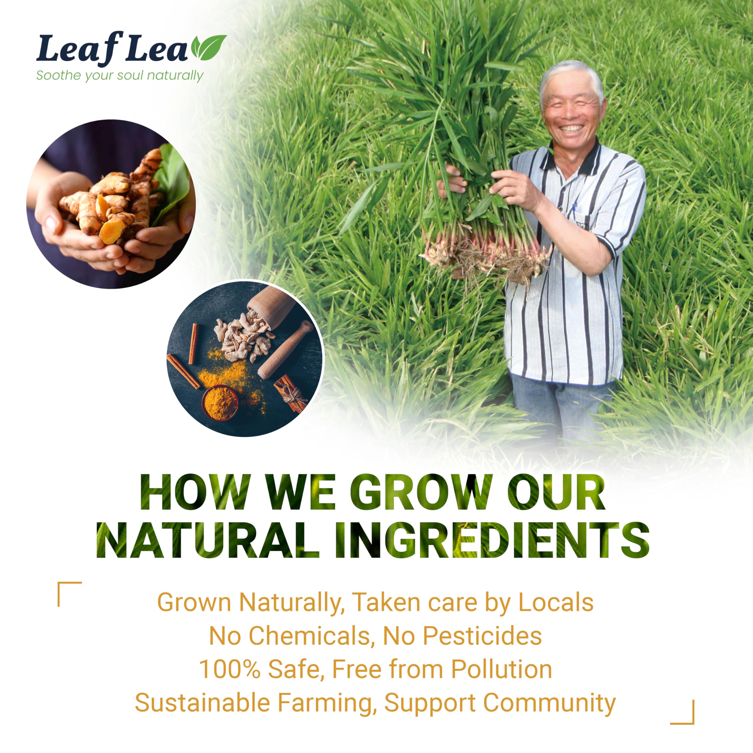 easy-to-brew-instant-tea