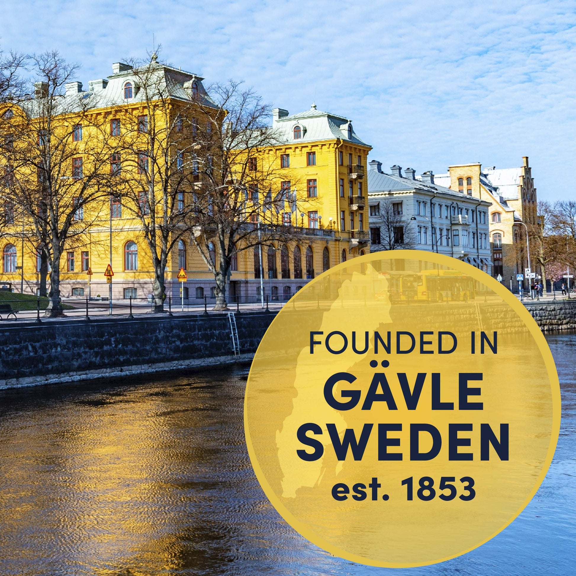 affordable-whole-beans