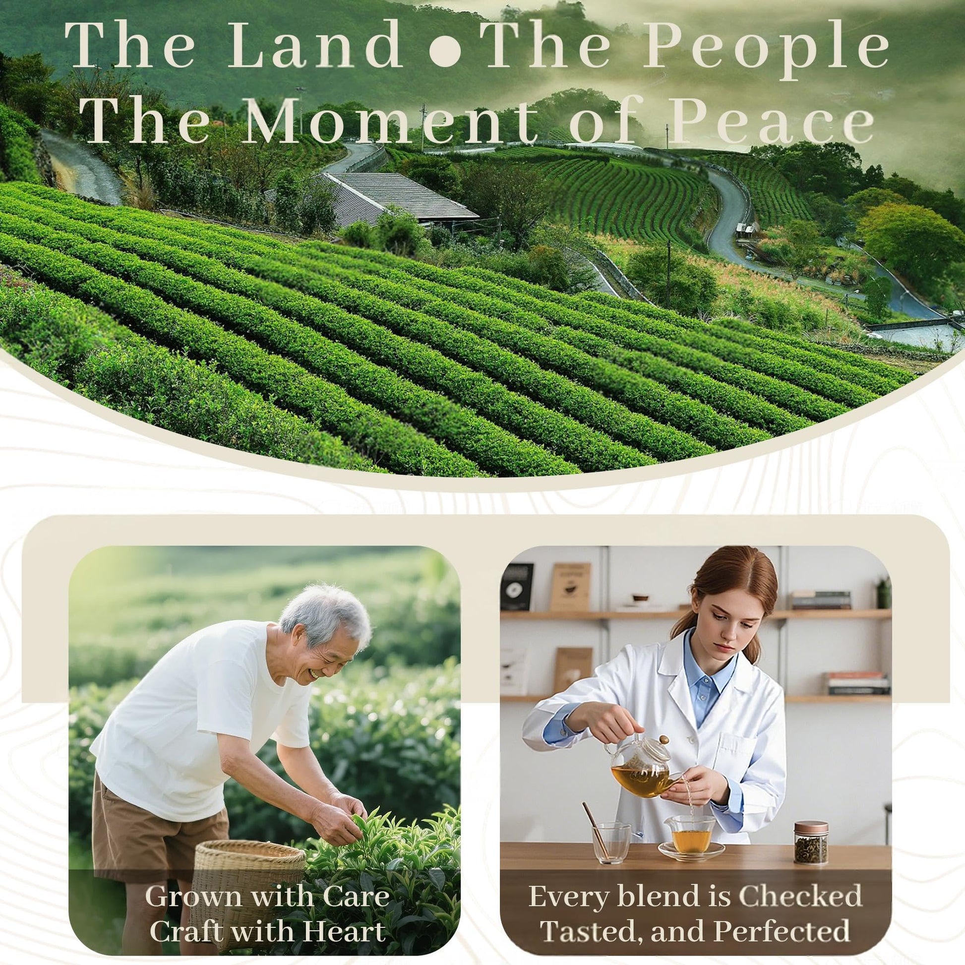 top-rated-coffee-pods-k-cups-etc-johou