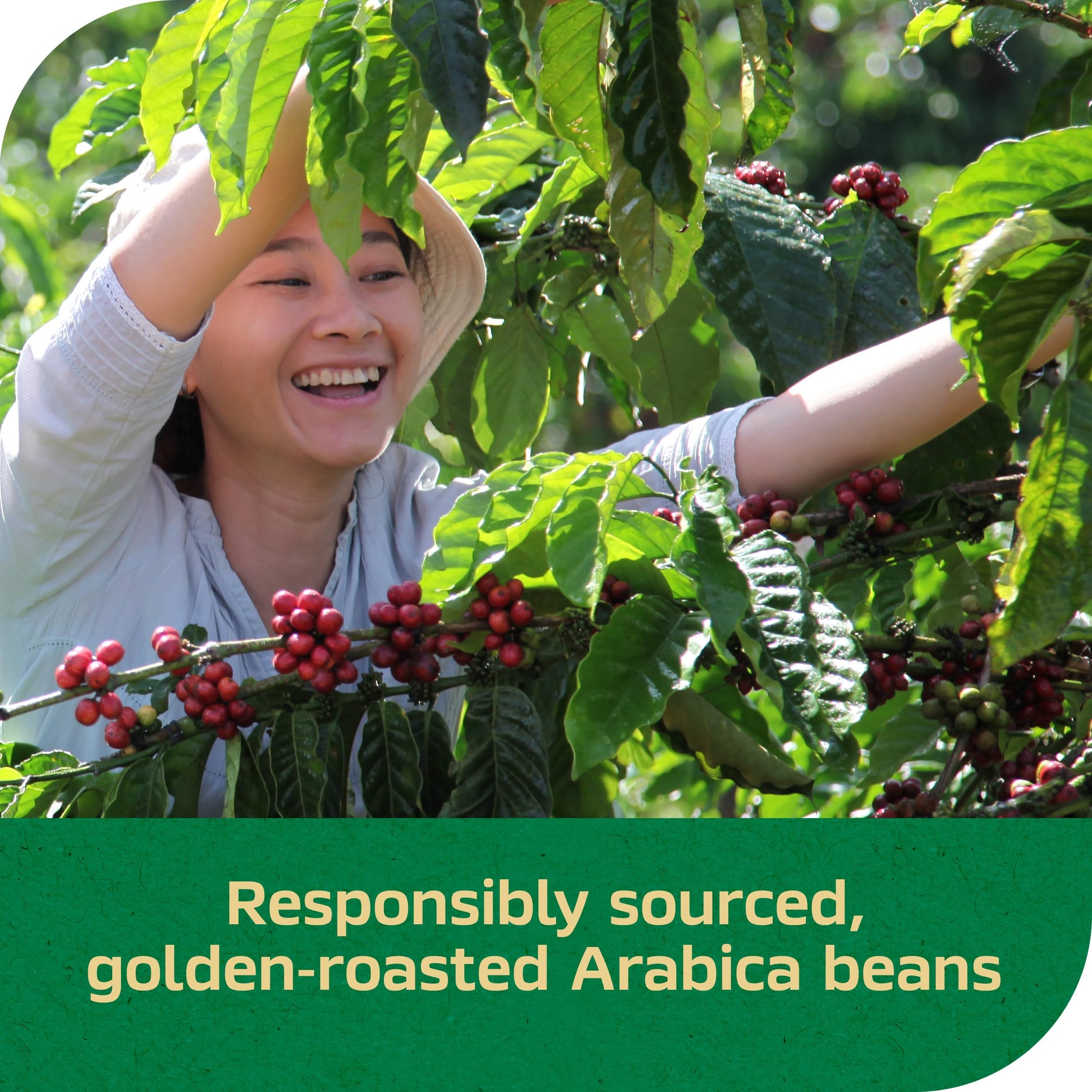 top-rated-decaf-coffee-nescafe