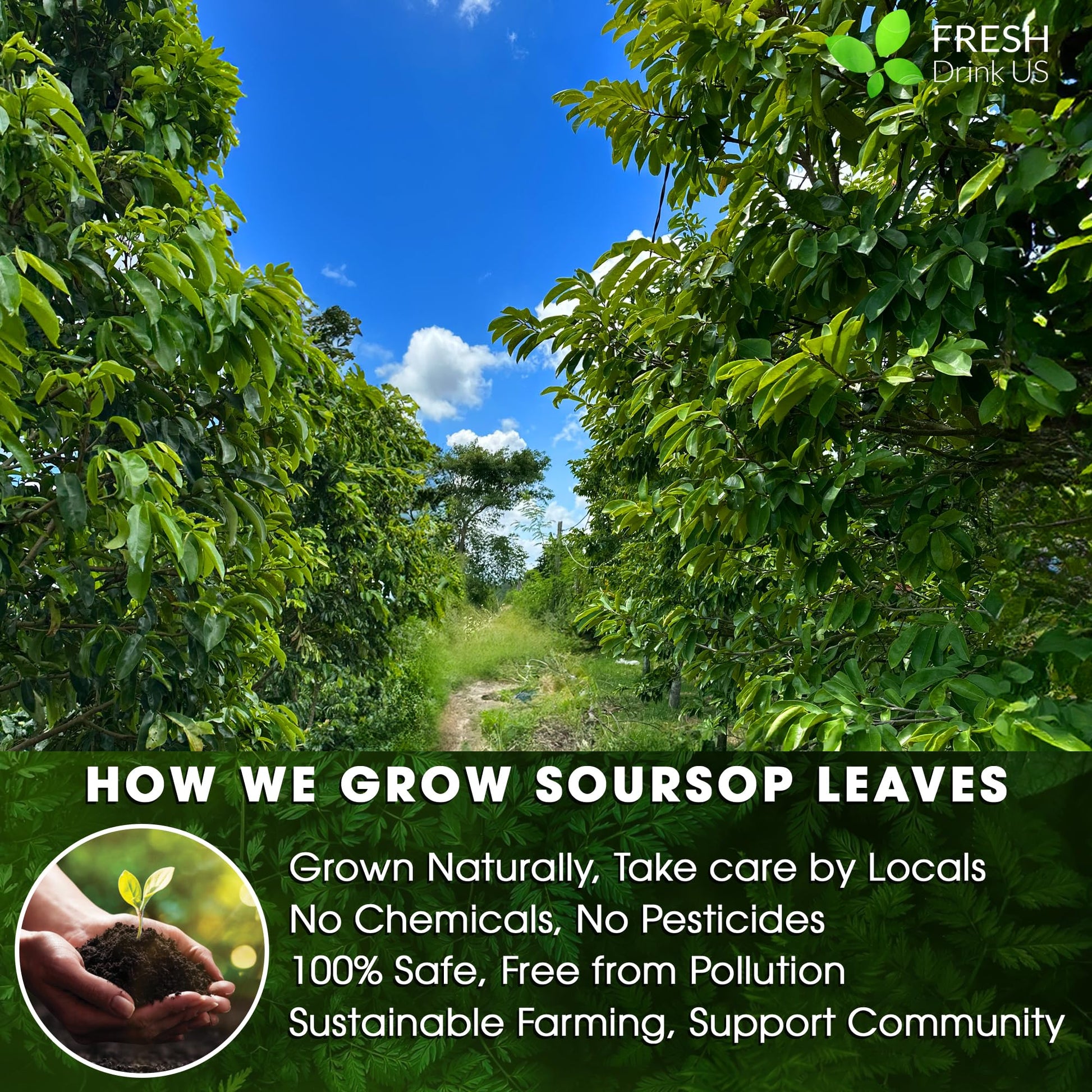 convenient-instant-tea-multi-serve