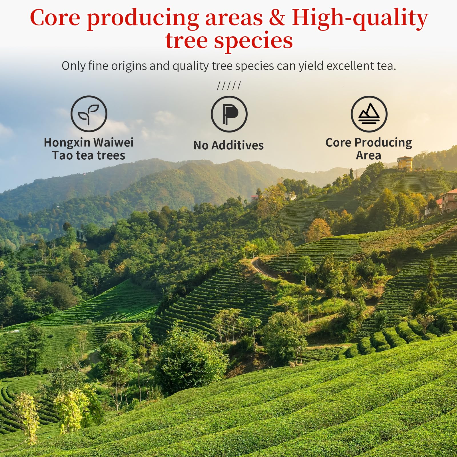 rich-full-bodied-instant-coffee