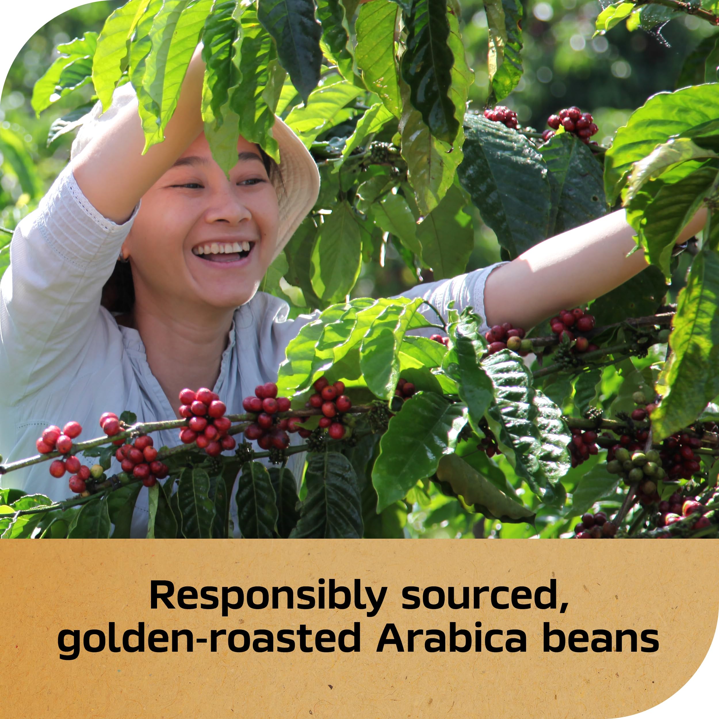 convenient-instant-coffee-multi-serve