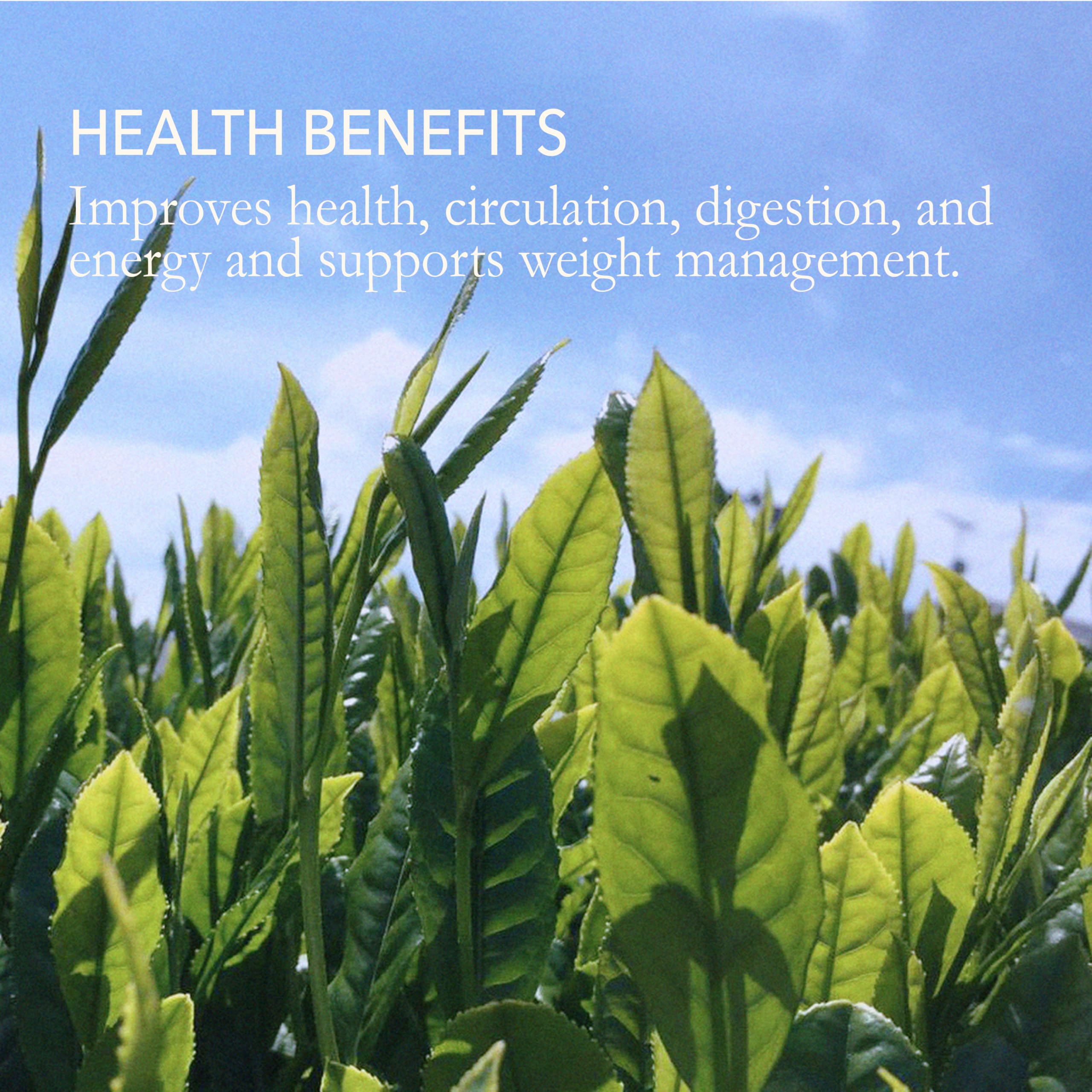 smooth-bold-flavor-green-tea