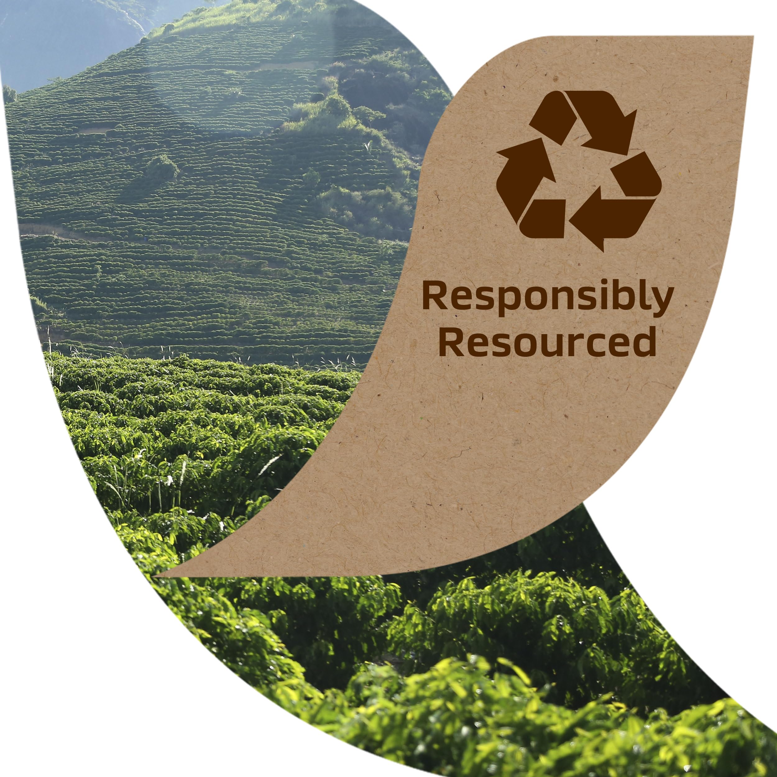 top-rated-decaf-coffee-taster-s-choice