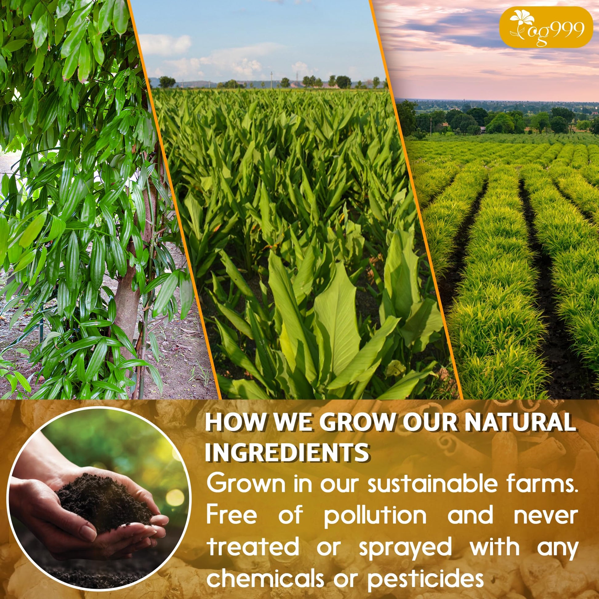 rich-full-bodied-instant-tea