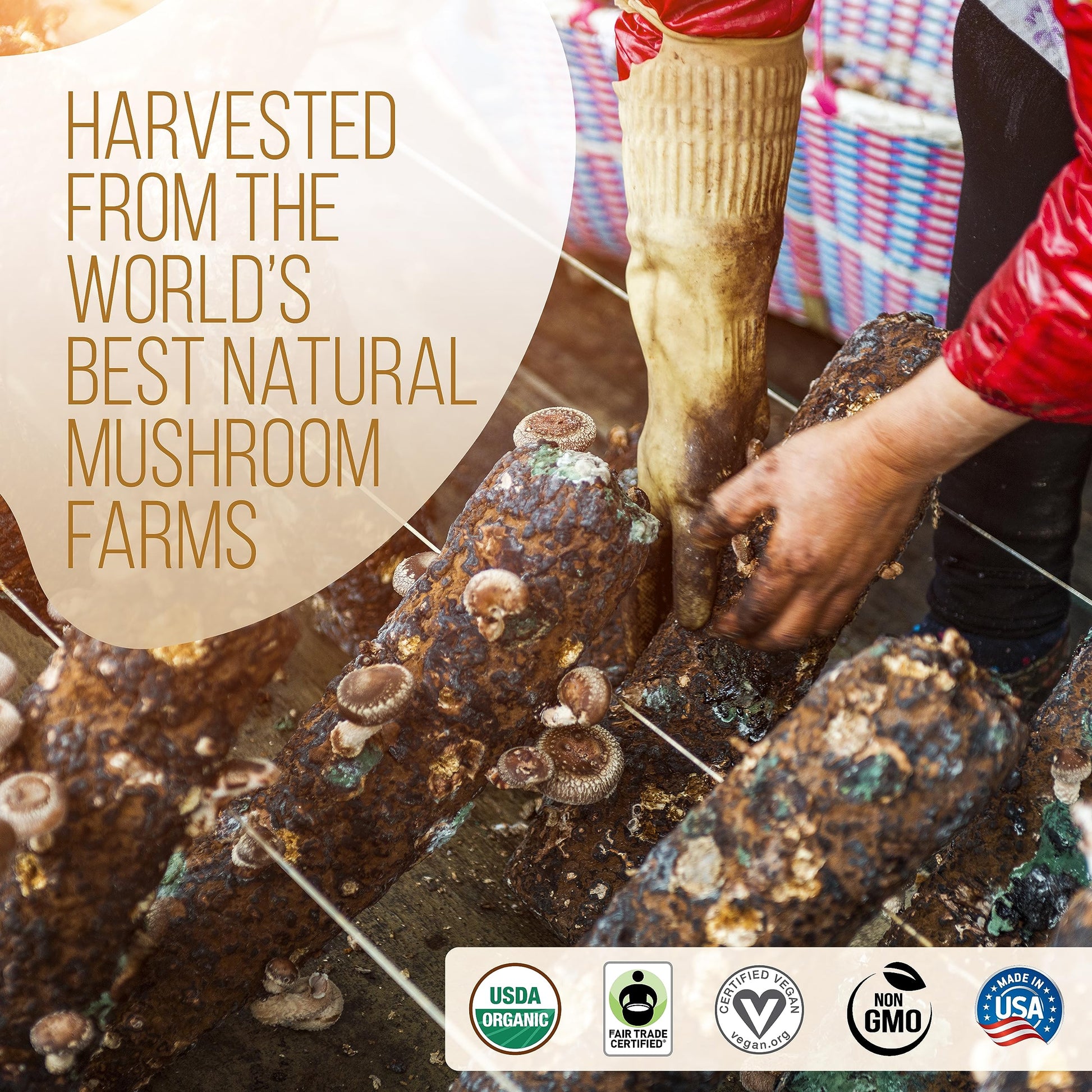 smooth-bold-flavor-decaf-coffee