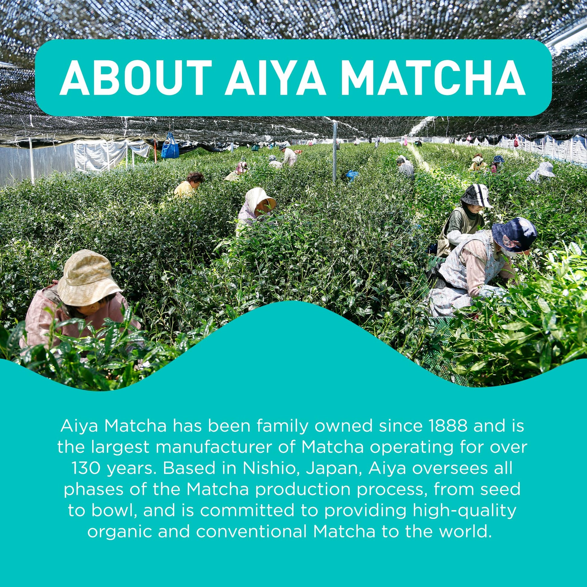 top-rated-matcha-powder-aiya-since-1888