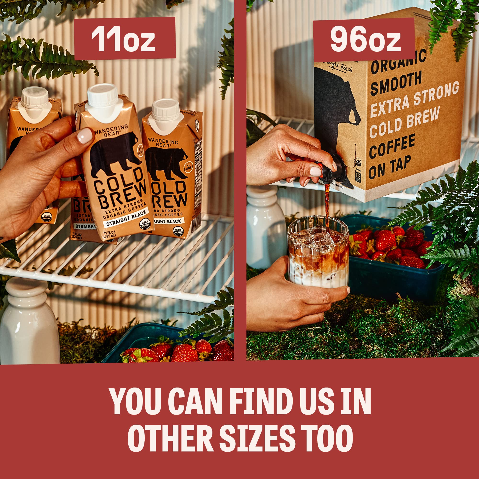 top-rated-cold-brew-coffee-wandering-bear