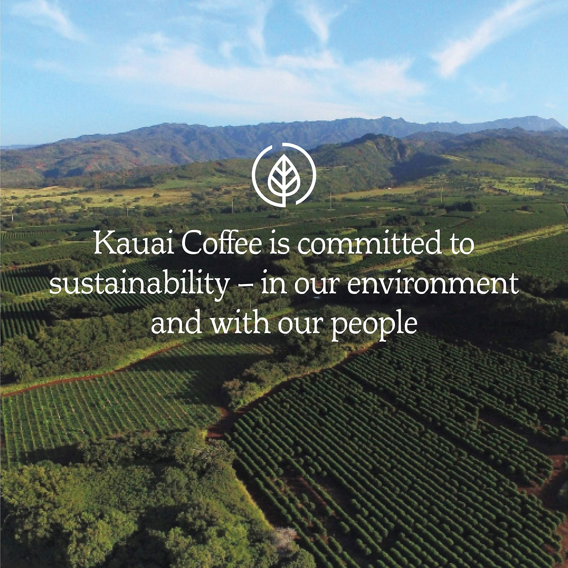 premium-coffee-pods-k-cups-etc-kauai-coffee