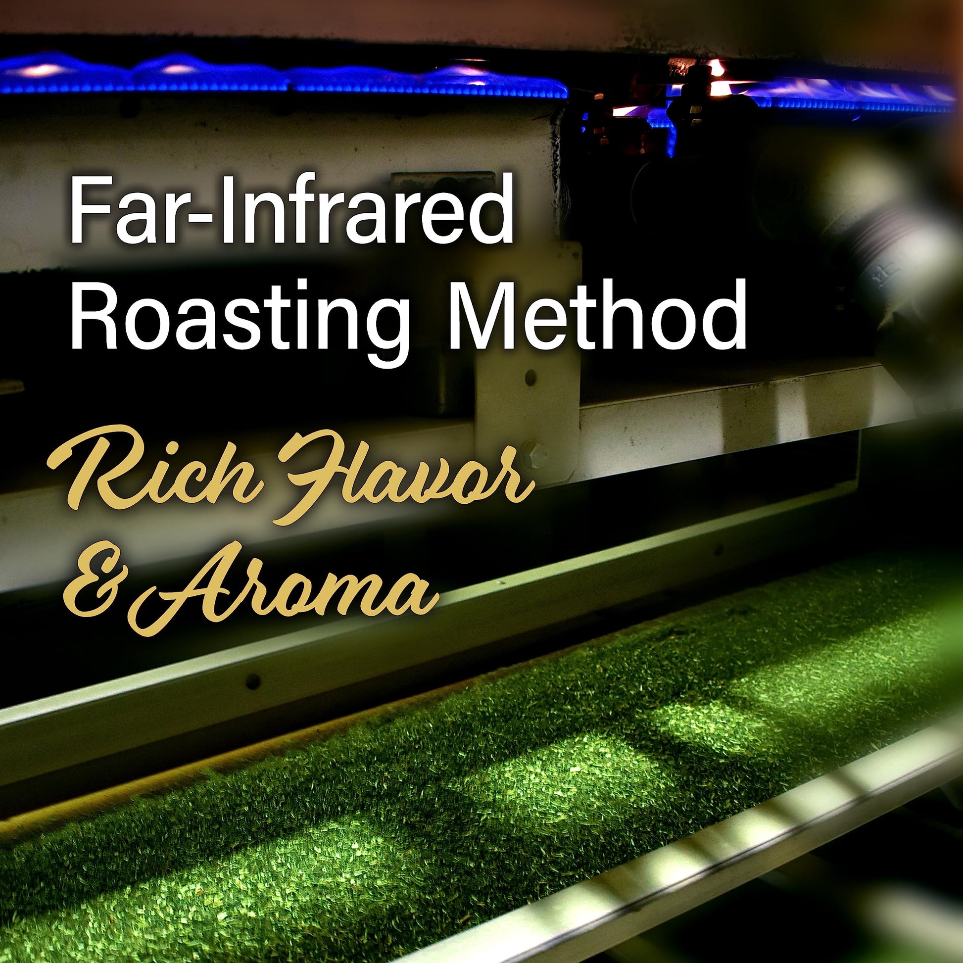 top-rated-cold-brew-coffee-chaganju