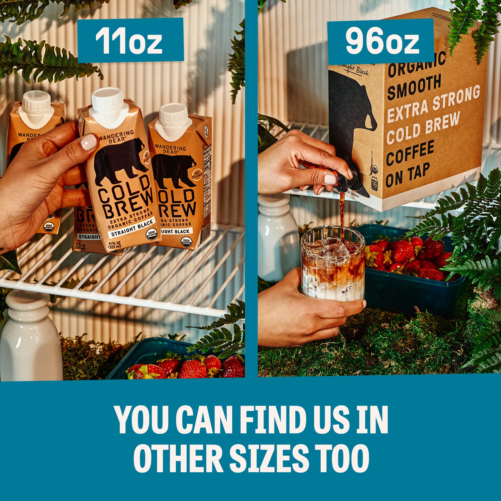 top-rated-cold-brew-coffee-wandering-bear