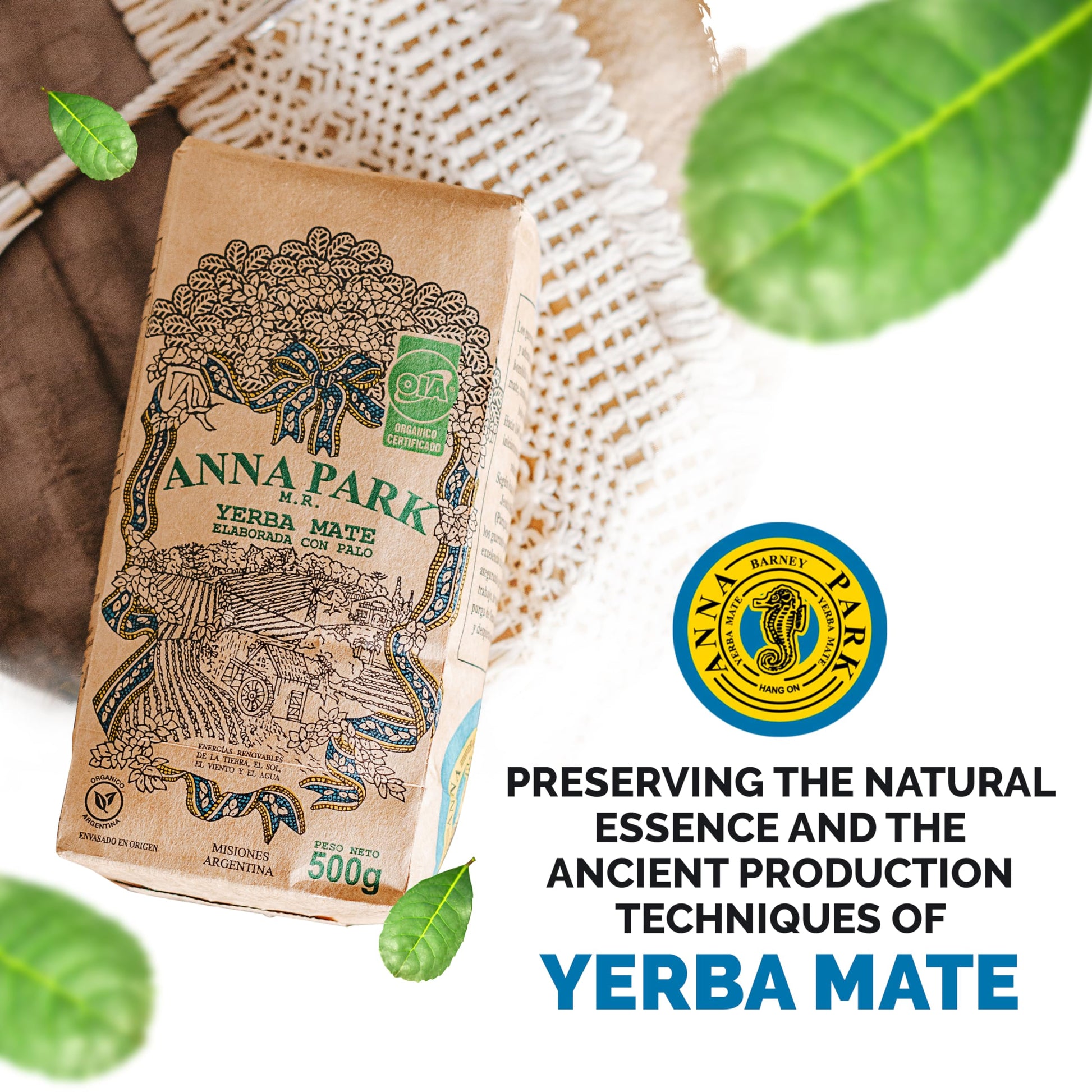 top-rated-yerba-mate-anna-park