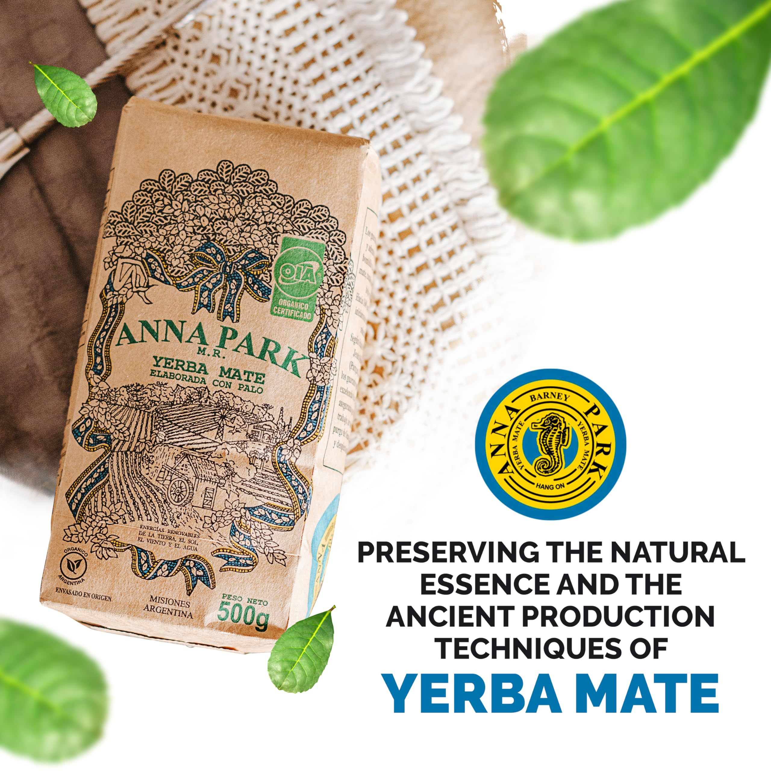 top-rated-yerba-mate-anna-park