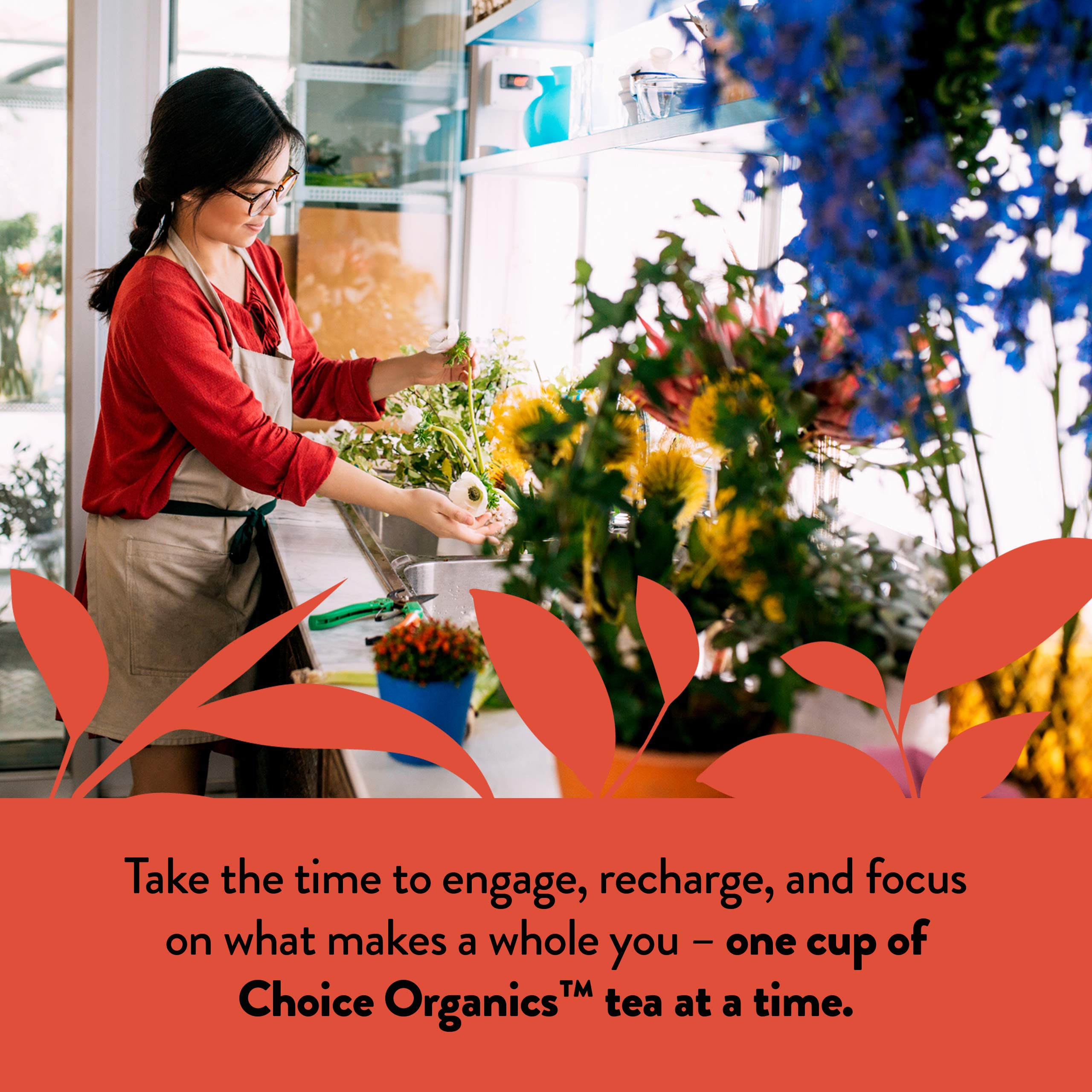 convenient-rooibos-tea-multi-serve