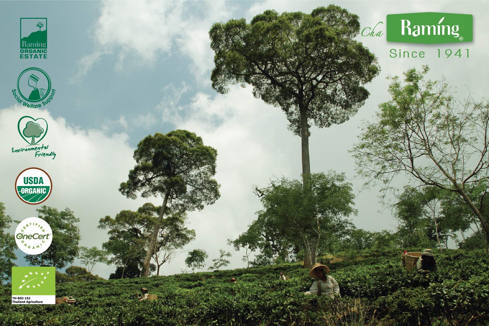 rich-full-bodied-instant-tea