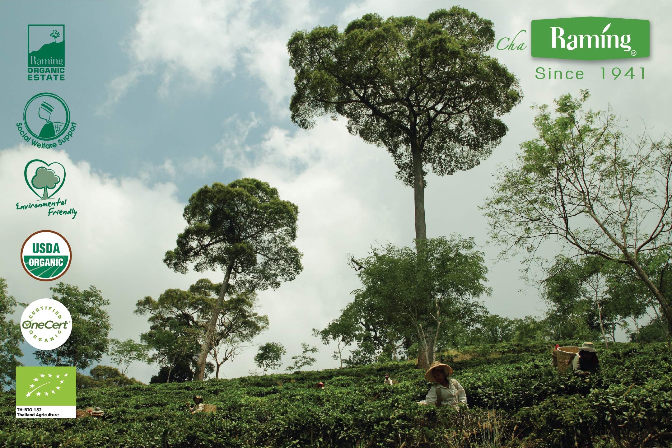 rich-full-bodied-instant-tea