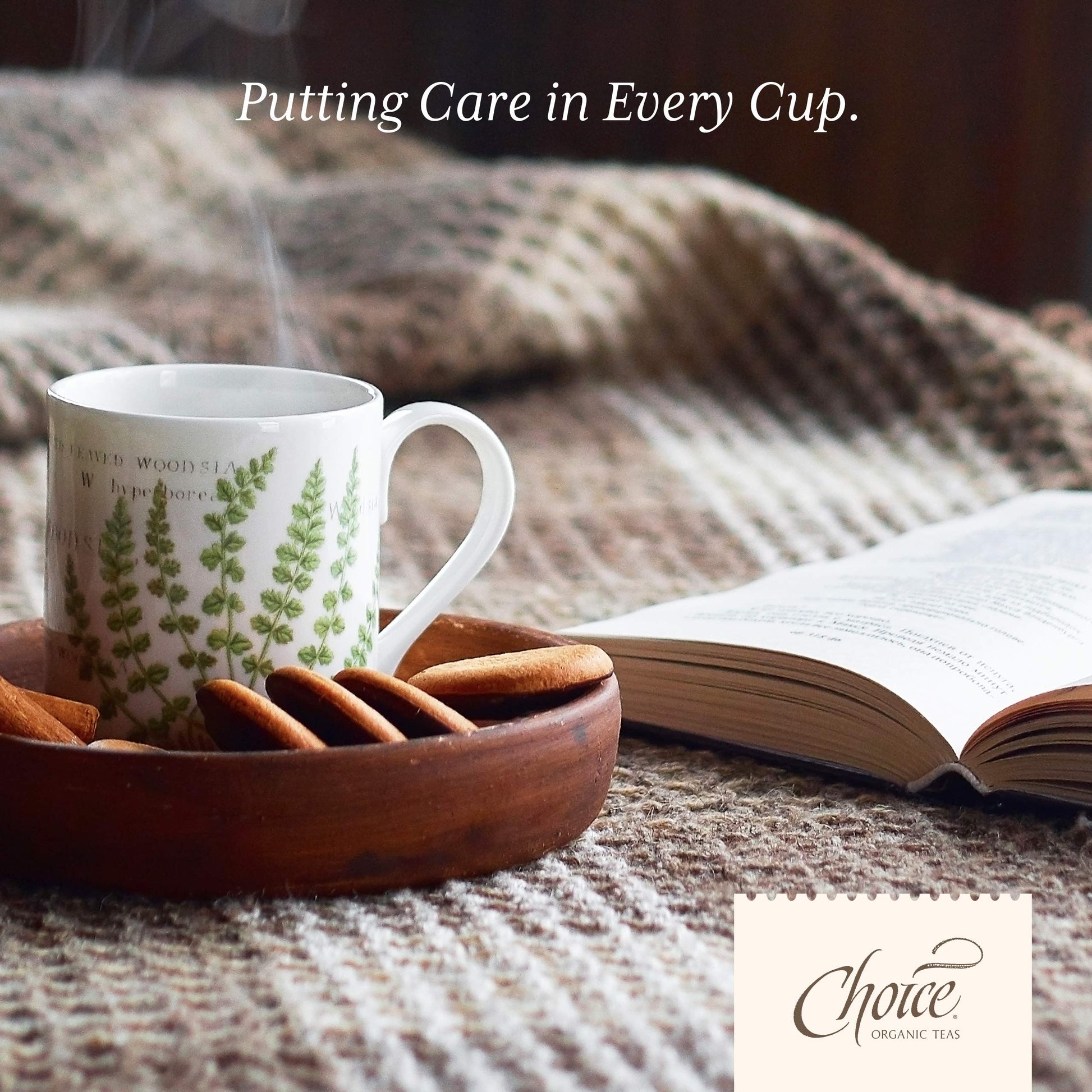 top-rated-rooibos-tea-choice-organic-teas