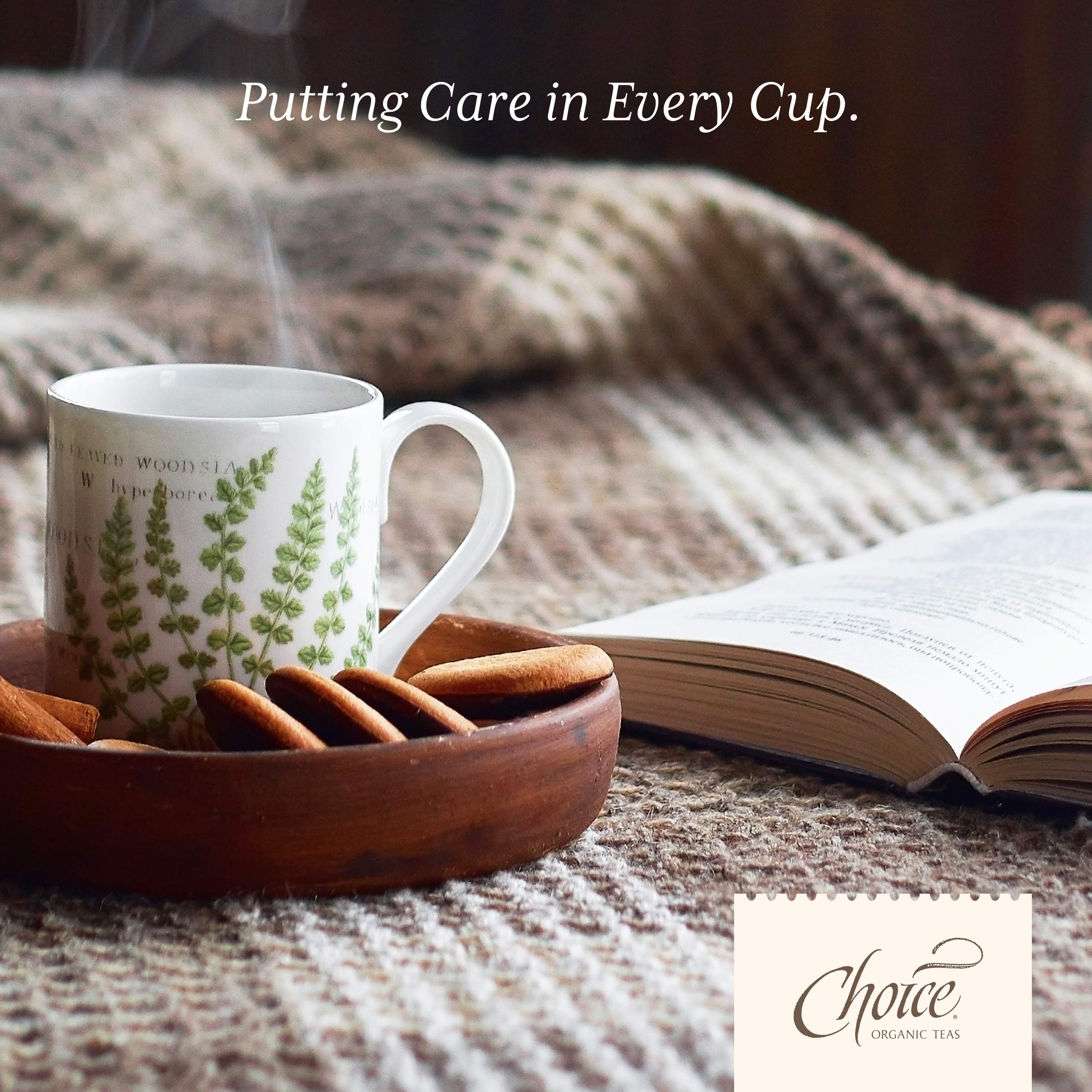 top-rated-rooibos-tea-choice-organic-teas