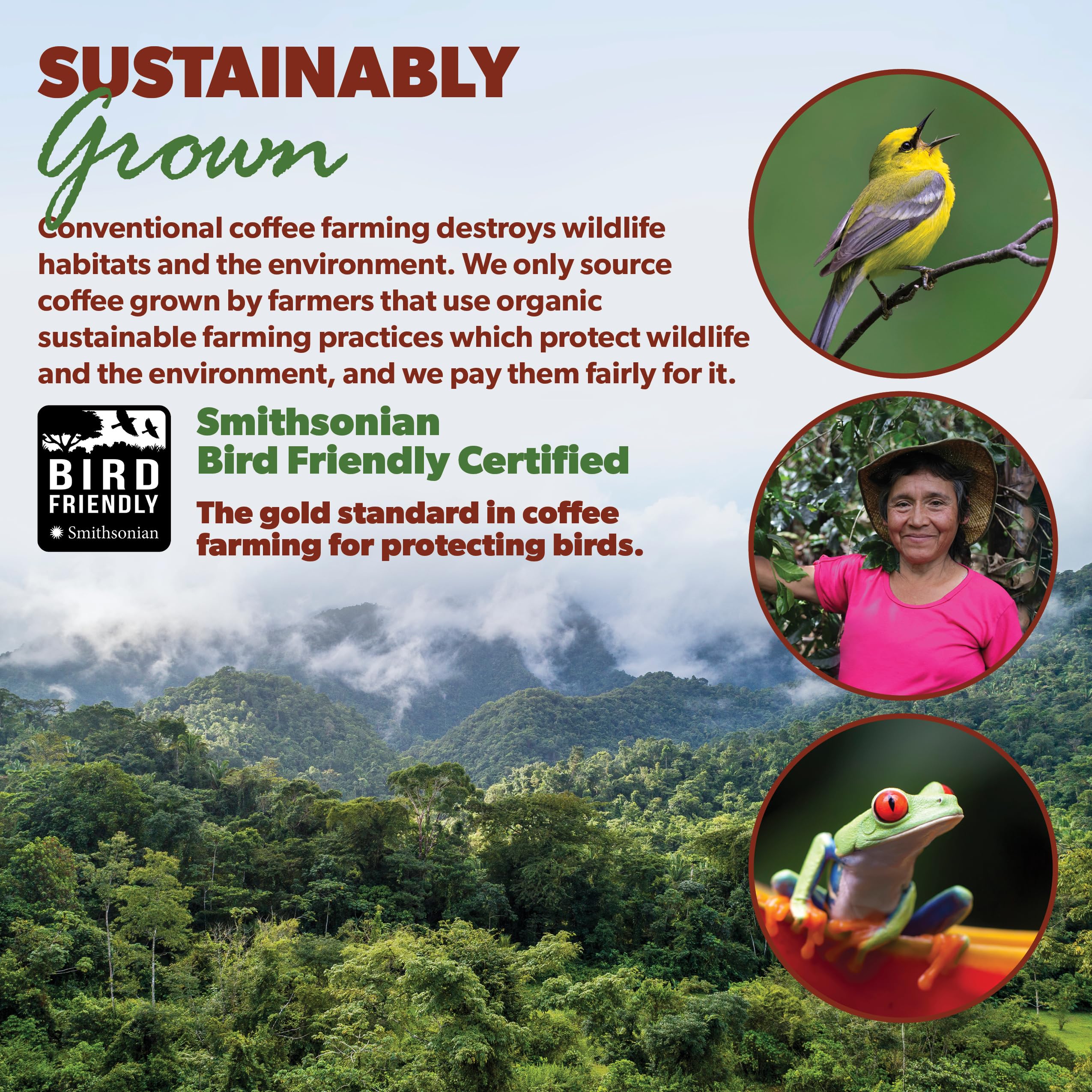 easy-to-brew-whole-beans