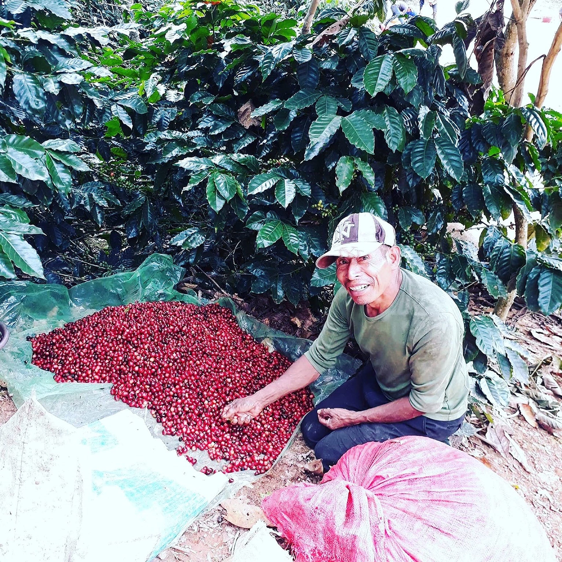 top-rated-instant-coffee-kafetos-coffee-co