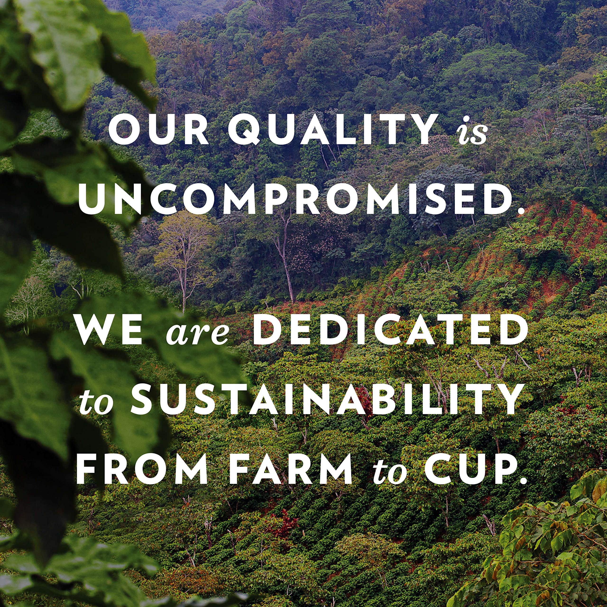 easy-to-brew-coffee-pods-k-cups-etc