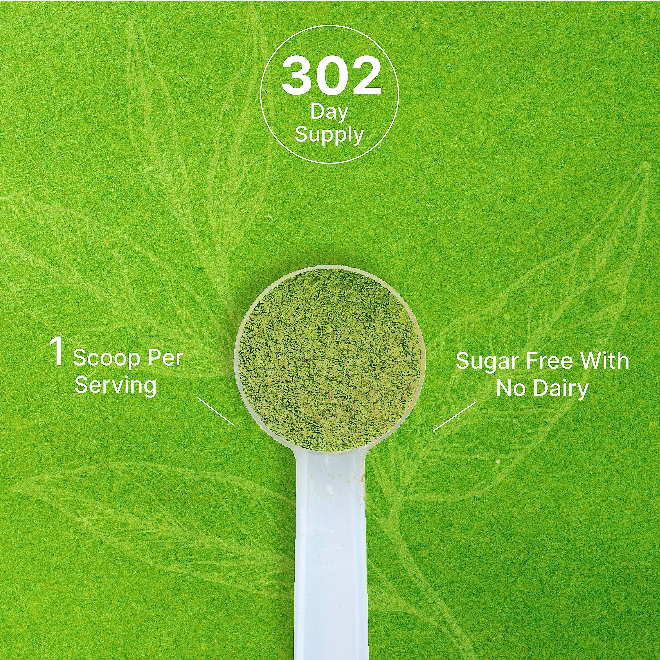 easy-to-brew-matcha-powder